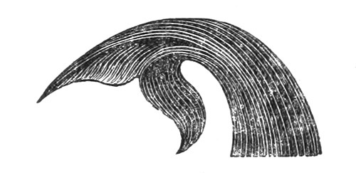 An Exhibition Concerning the Life and Death of the Blue Whale