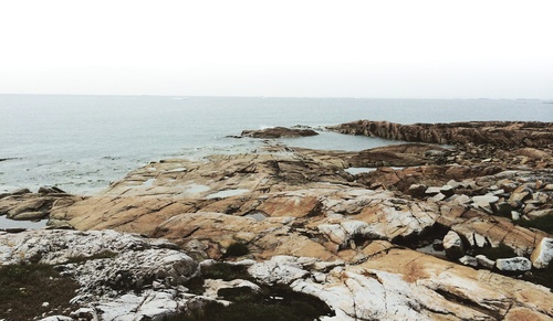 Newfoundland II