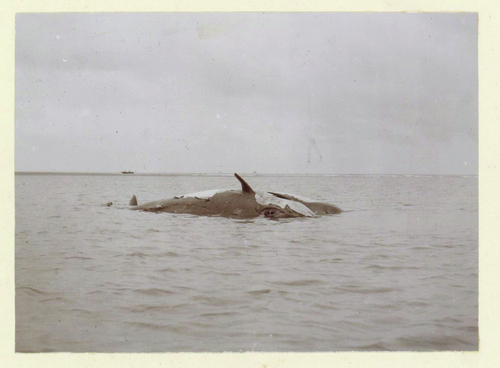 The Sum Of Its Parts